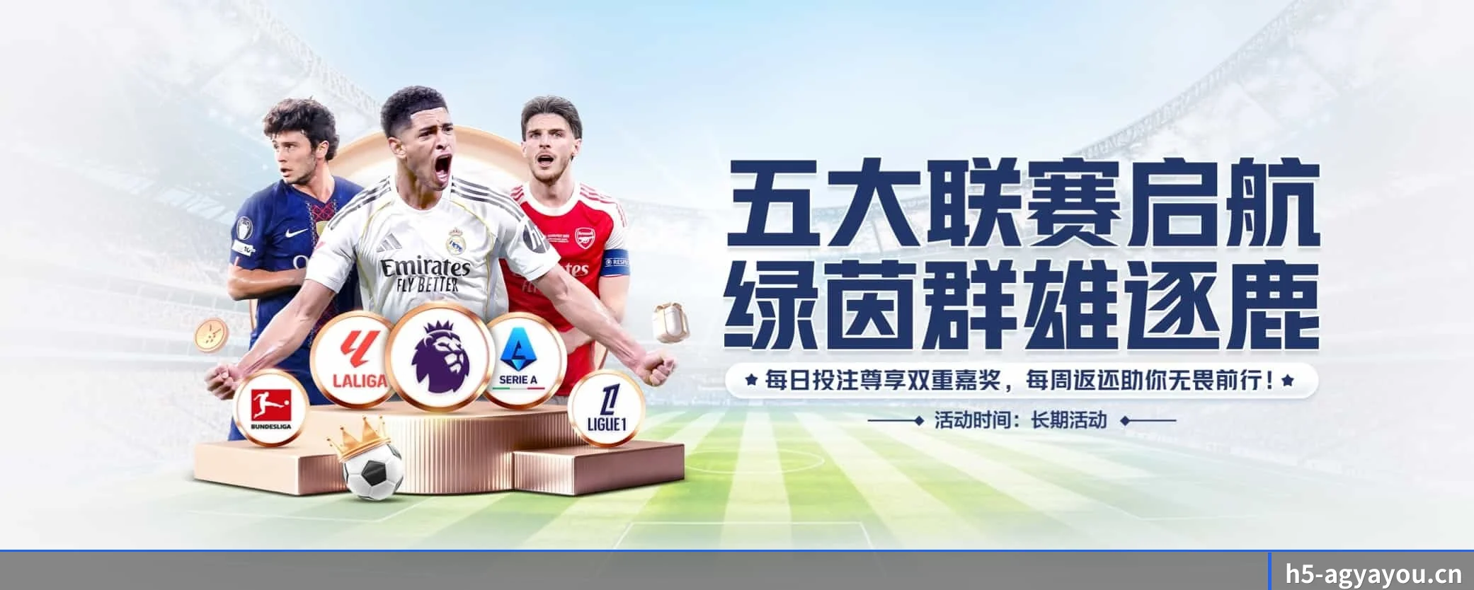各版块垂直深入,完美契合不同运动项目偏好